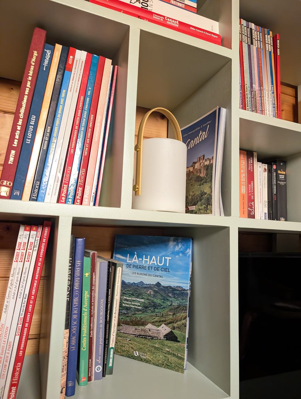 Rayonnage de bandes dessinées et de guides sur le Cantal dans la bibliothèque du chalet